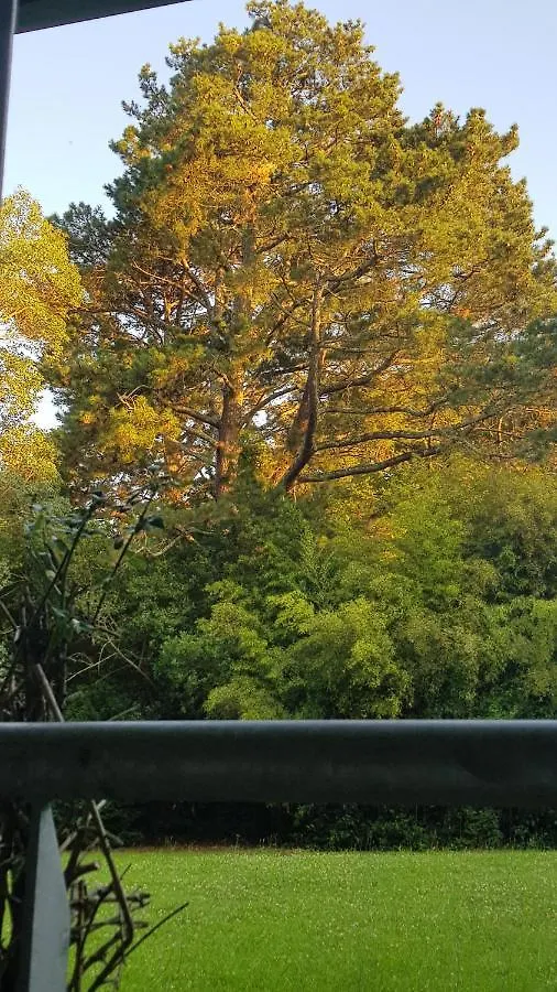 T3 Avec Sa Spacieuse Terrasse 巴约讷 公寓